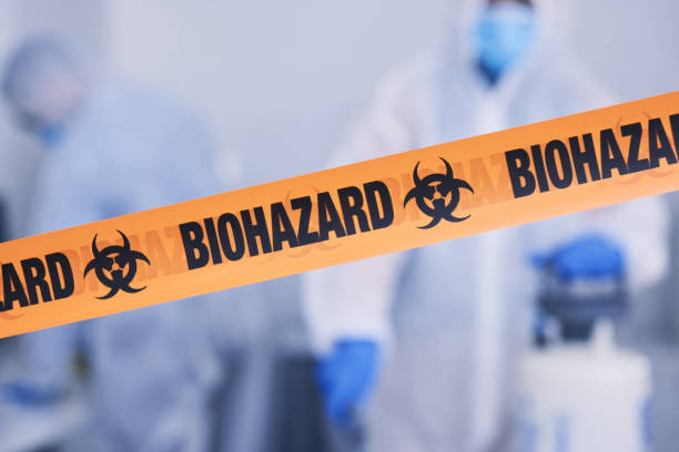 Professional Odor Removal technician working in Babcock, WI